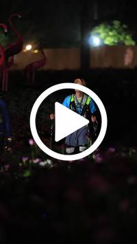 BIB:  <button type="button" onclick="openModal(27591185)" class="btn btn-primary btn-sm float-right" data-toggle="modal" data-target=".modal-high-quality">
                <i class="fa fa-download"></i> Download
                </button>